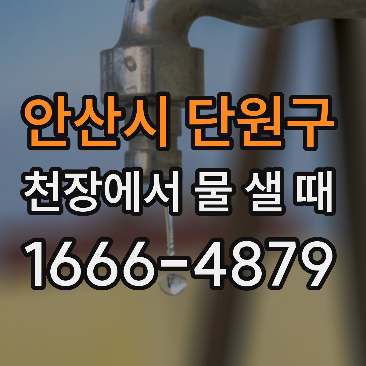 안산시 단원구 천장에서 물 샐 때