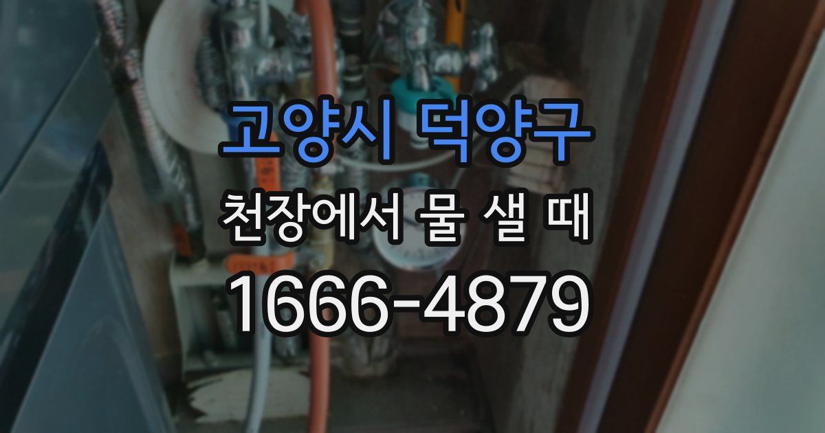 고양시 덕양구 천장에서 물 샐 때