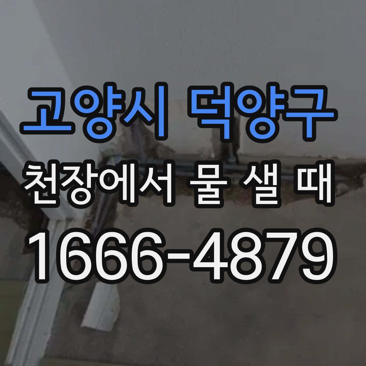 고양시 덕양구 천장에서 물 샐 때