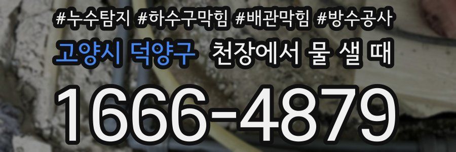 고양시 덕양구 천장에서 물 샐 때