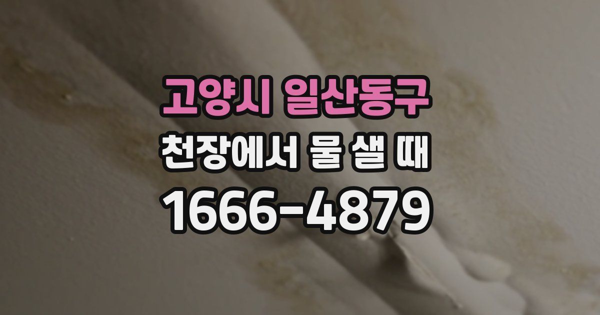 고양시 일산동구 천장에서 물 샐 때