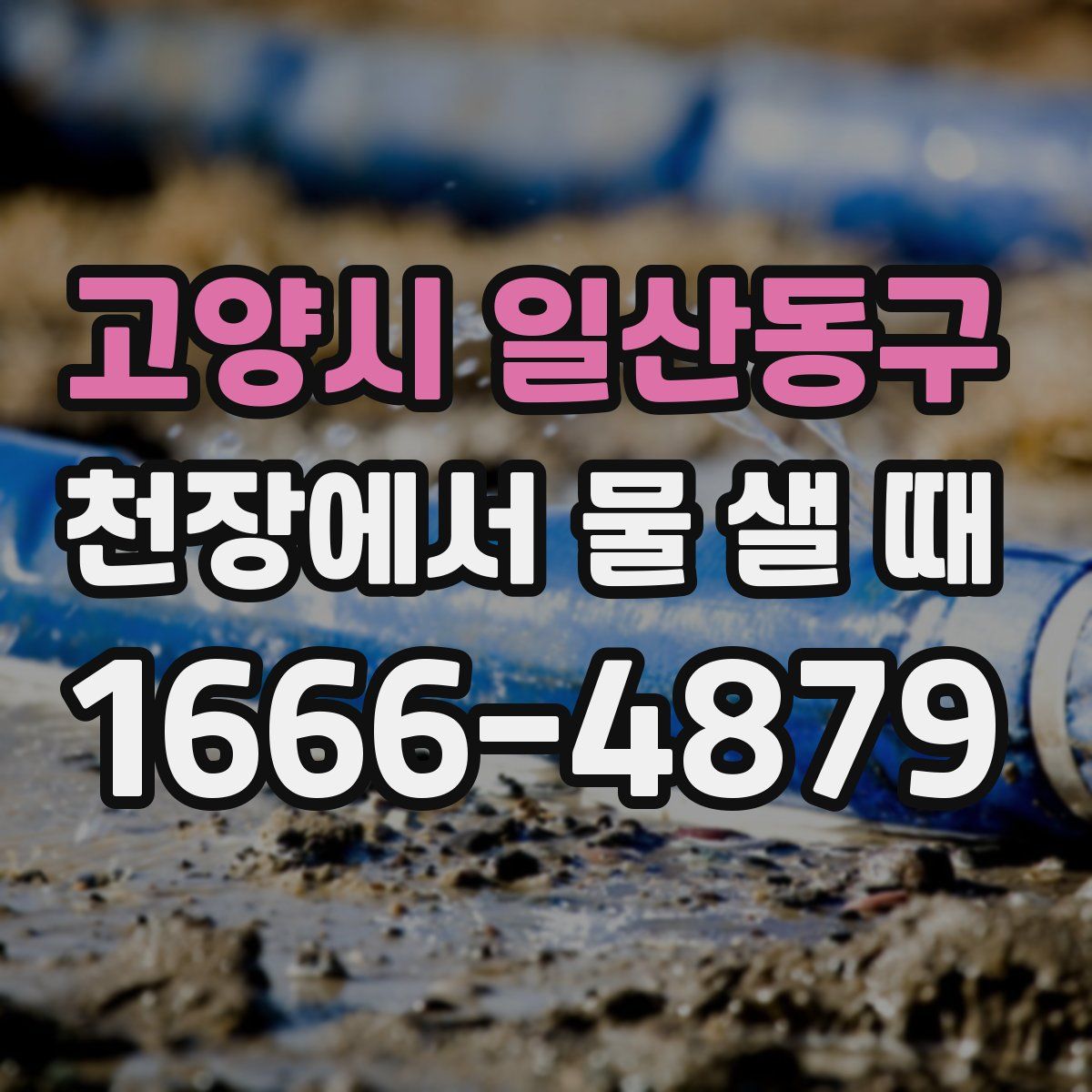 고양시 일산동구 천장에서 물 샐 때