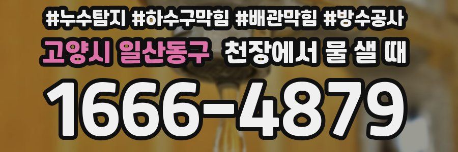 고양시 일산동구 천장에서 물 샐 때