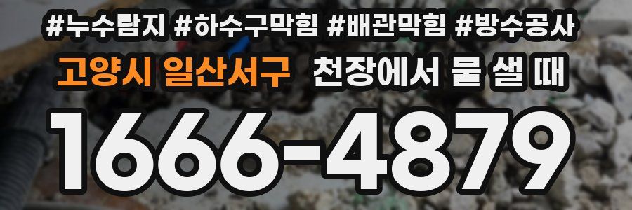 고양시 일산서구 천장에서 물 샐 때