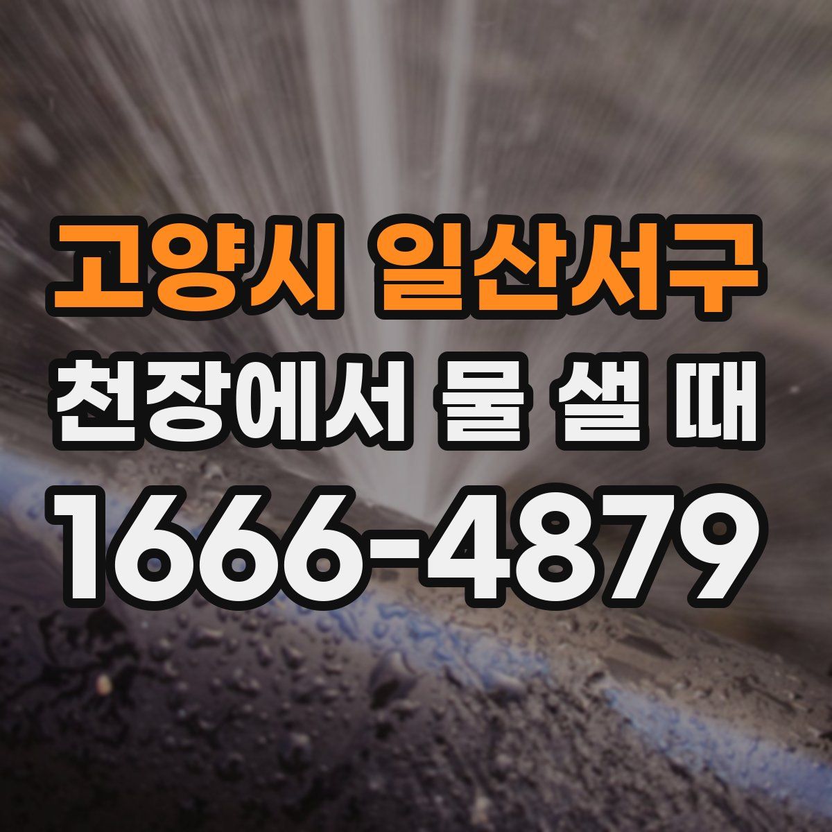 고양시 일산서구 천장에서 물 샐 때