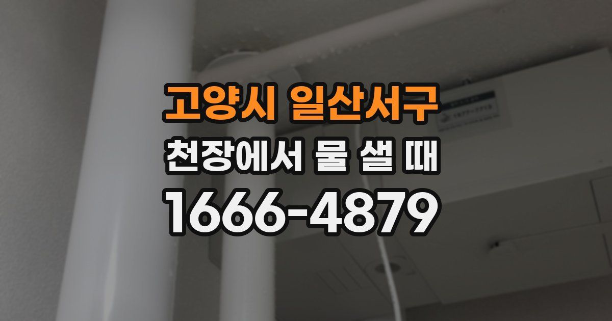 고양시 일산서구 천장에서 물 샐 때