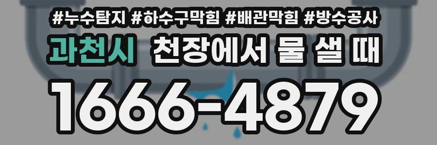 과천시 천장에서 물 샐 때
