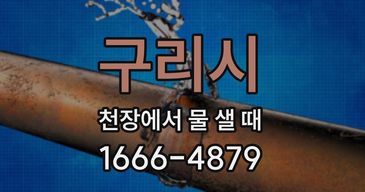 구리시 천장에서 물 샐 때