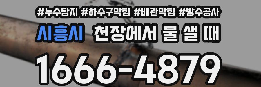 시흥시 천장에서 물 샐 때