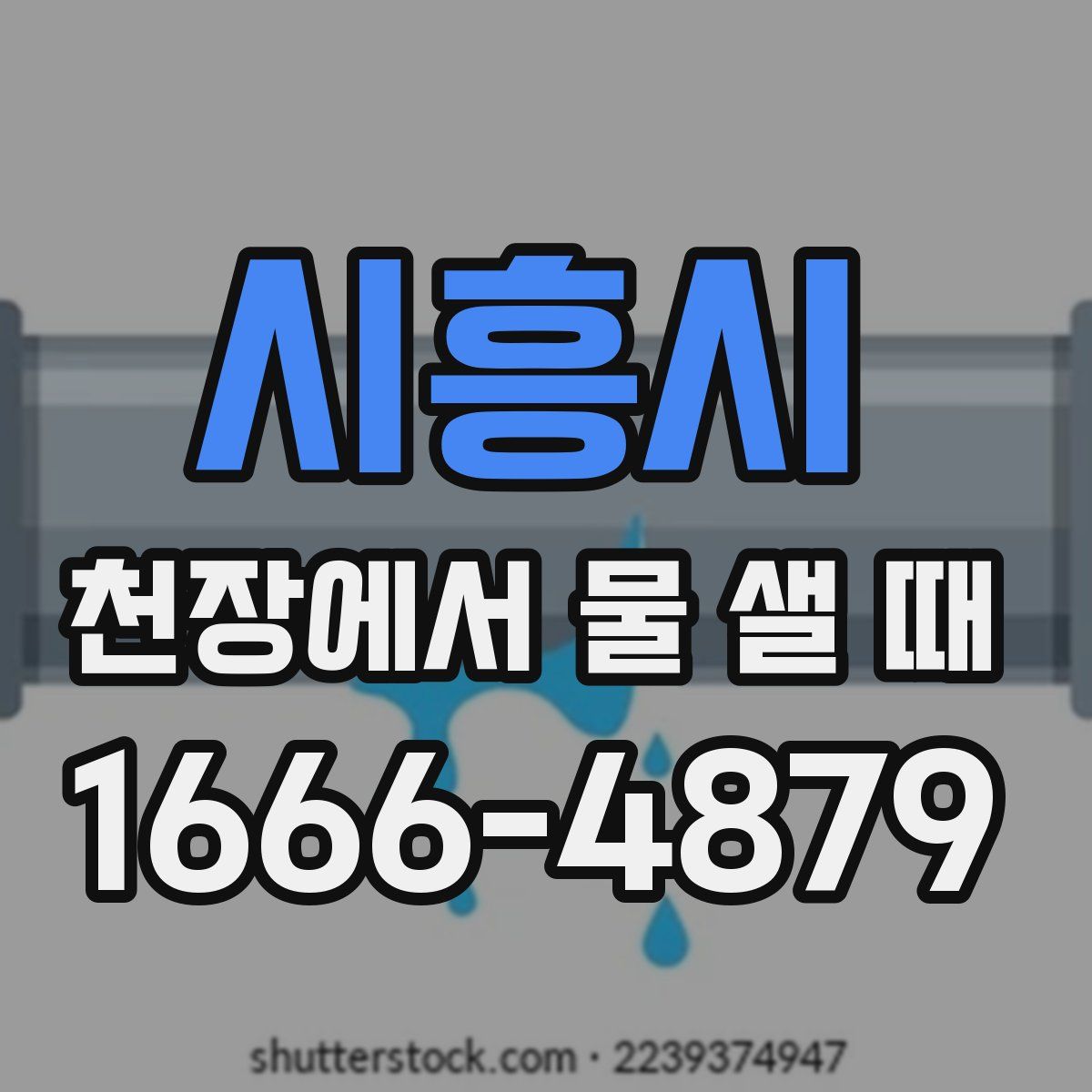 시흥시 천장에서 물 샐 때