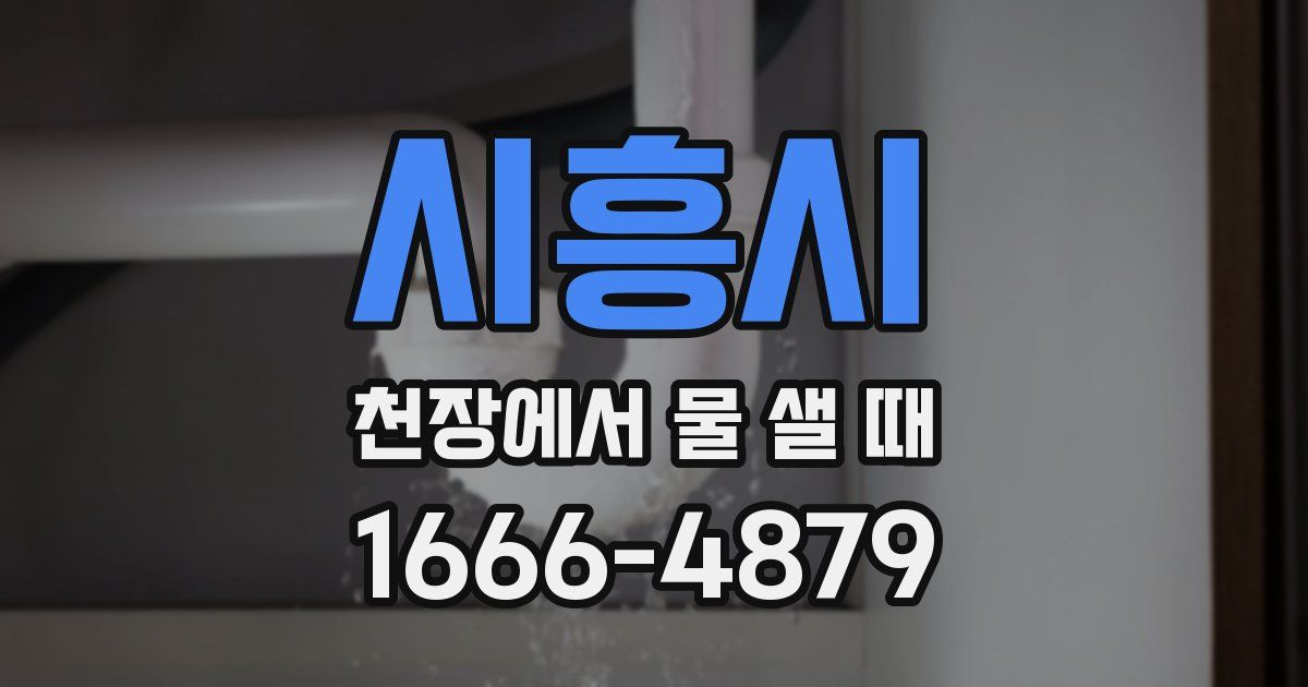 시흥시 천장에서 물 샐 때