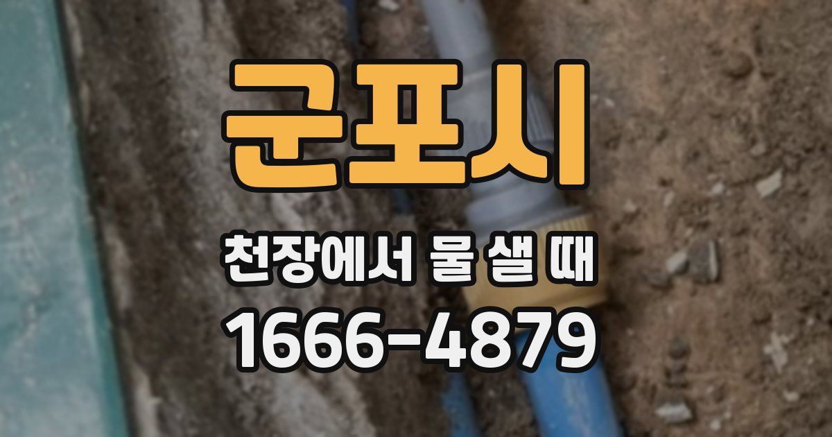 군포시 천장에서 물 샐 때