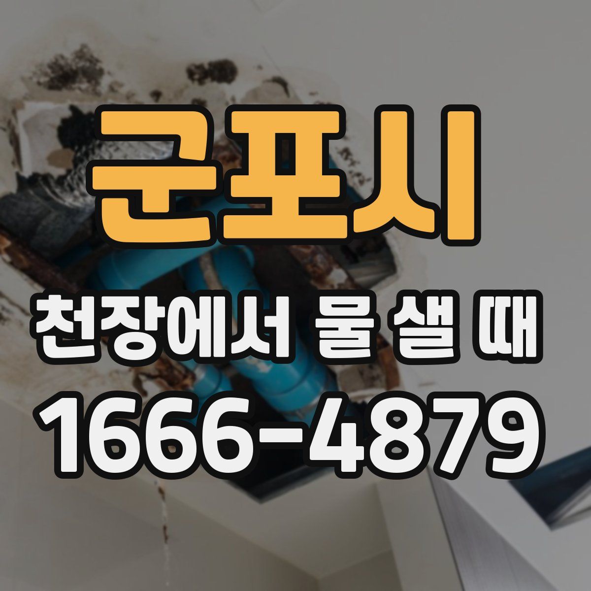 군포시 천장에서 물 샐 때