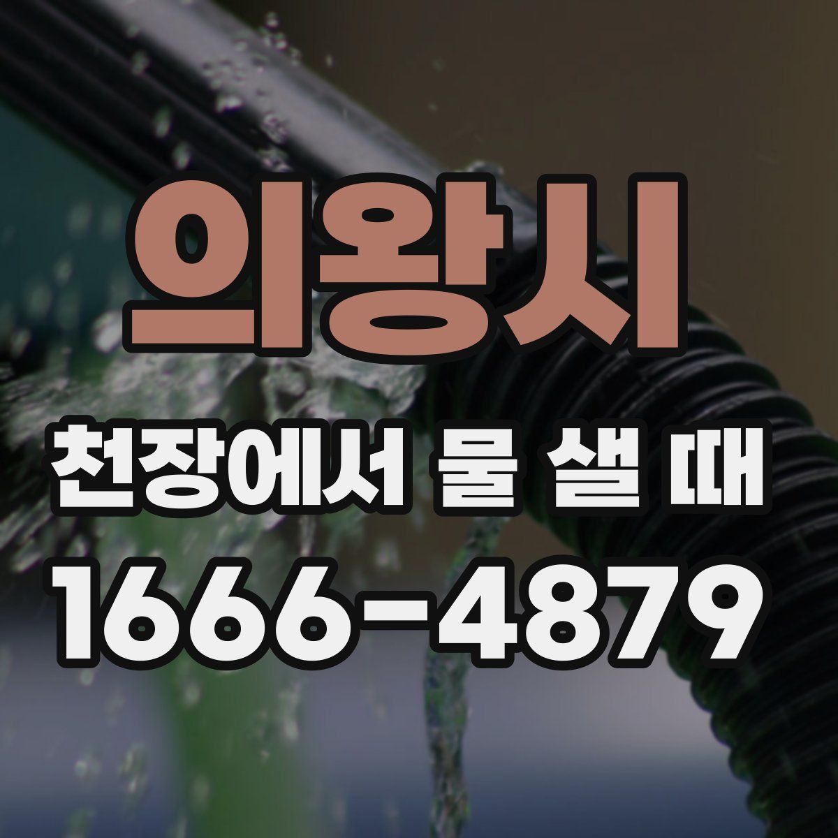 의왕시 천장에서 물 샐 때