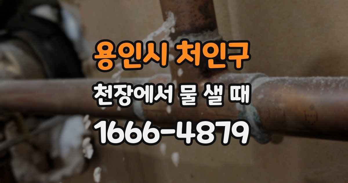 용인시 처인구 천장에서 물 샐 때