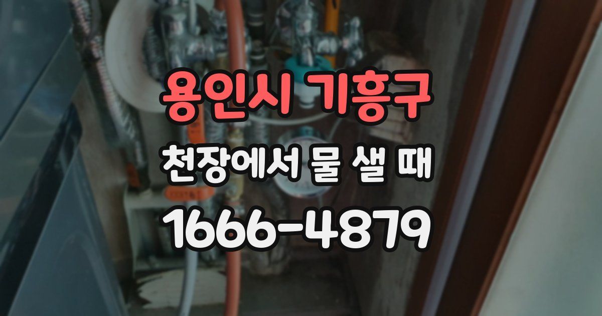용인시 기흥구 천장에서 물 샐 때