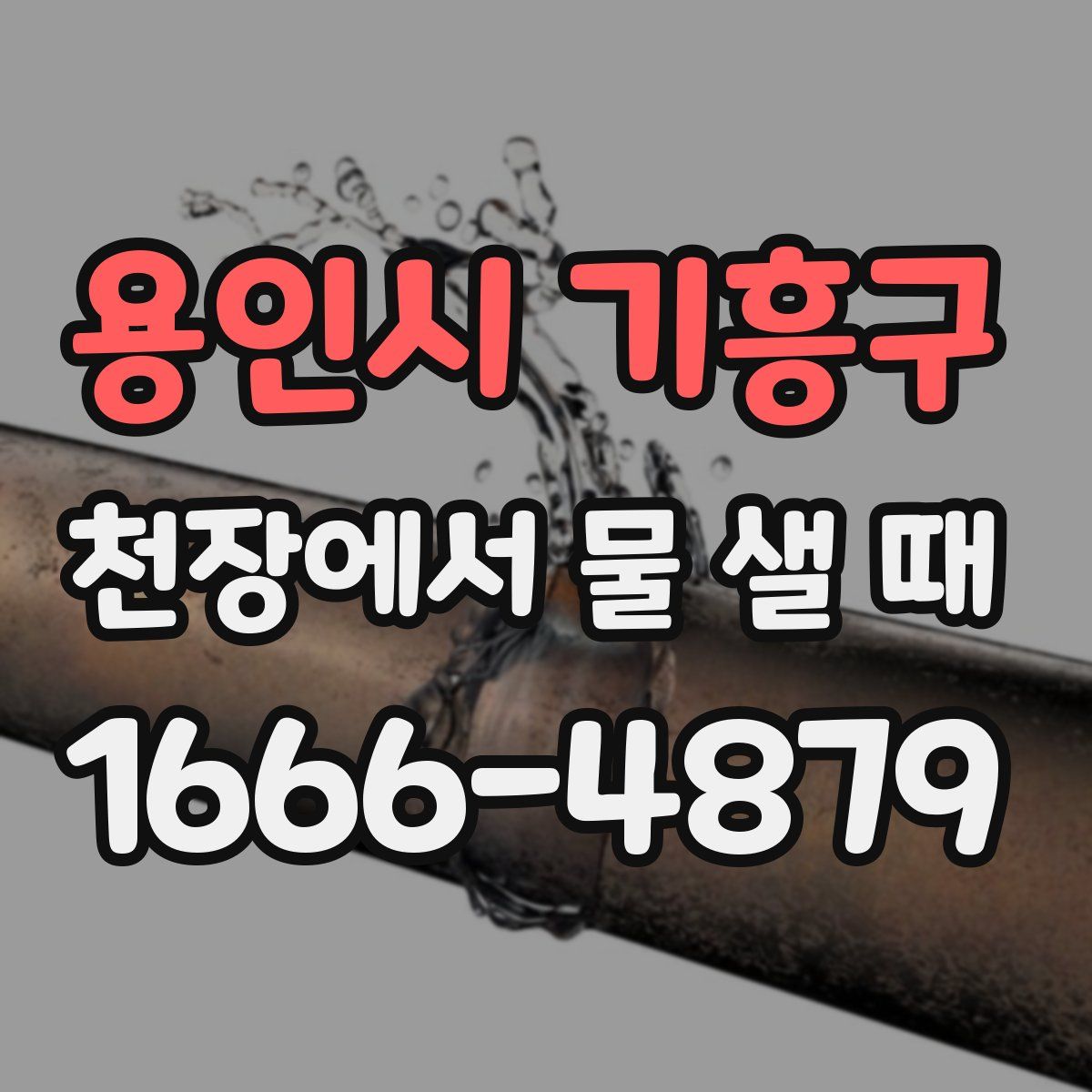 용인시 기흥구 천장에서 물 샐 때