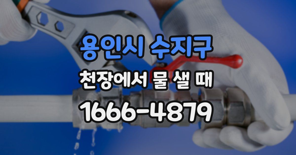 용인시 수지구 천장에서 물 샐 때
