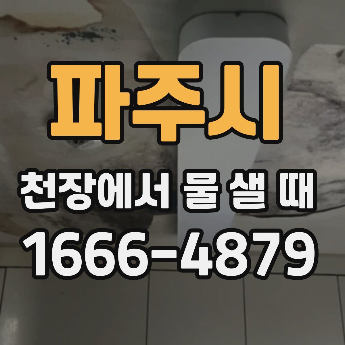 파주시 천장에서 물 샐 때