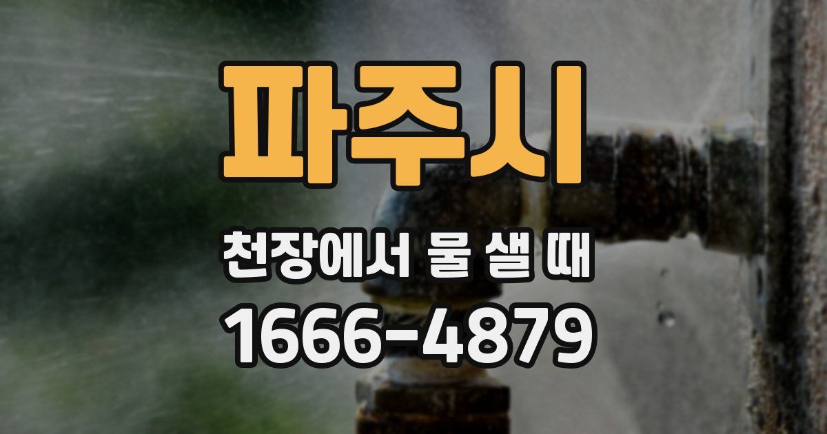 파주시 천장에서 물 샐 때