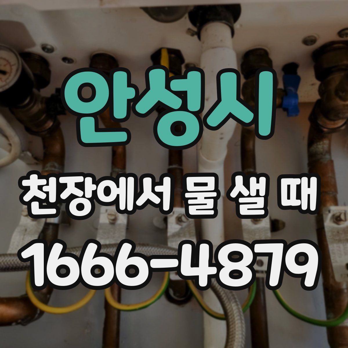 안성시 천장에서 물 샐 때