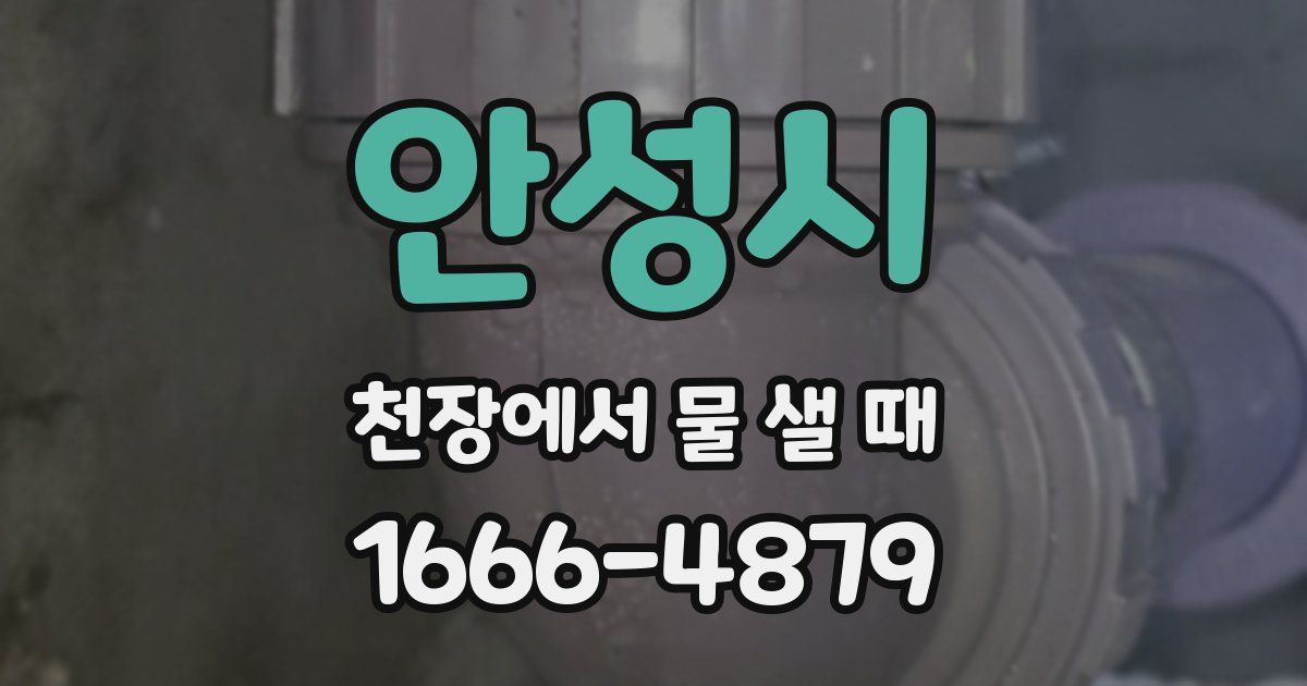 안성시 천장에서 물 샐 때