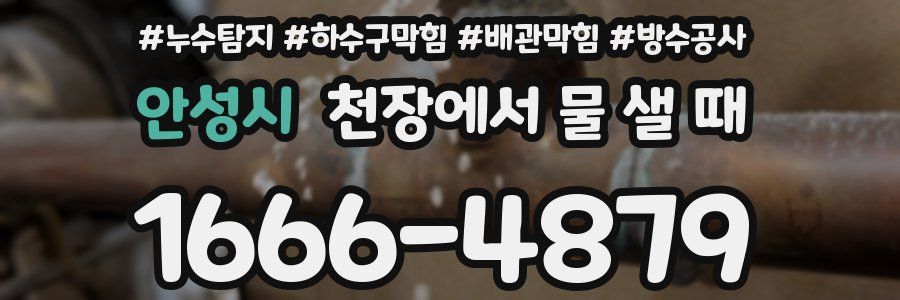 안성시 천장에서 물 샐 때