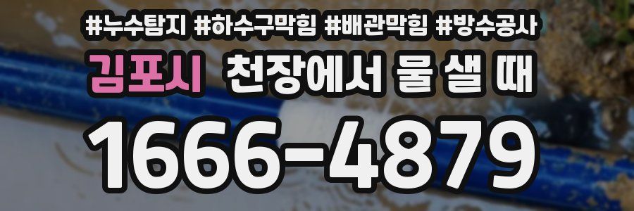 김포시 천장에서 물 샐 때