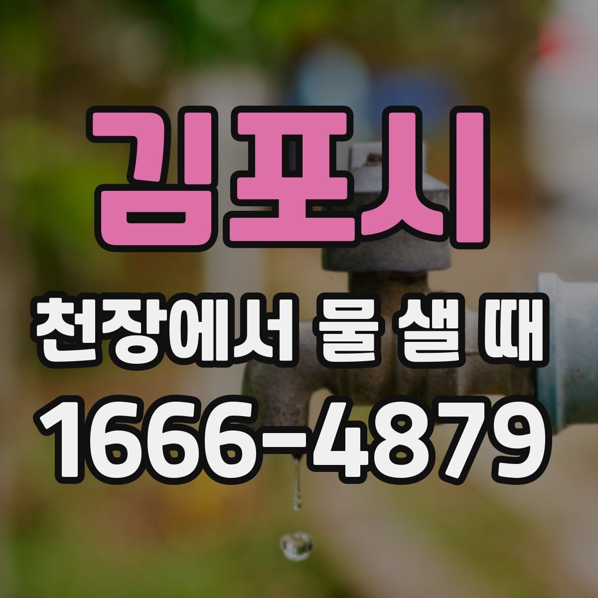 김포시 천장에서 물 샐 때