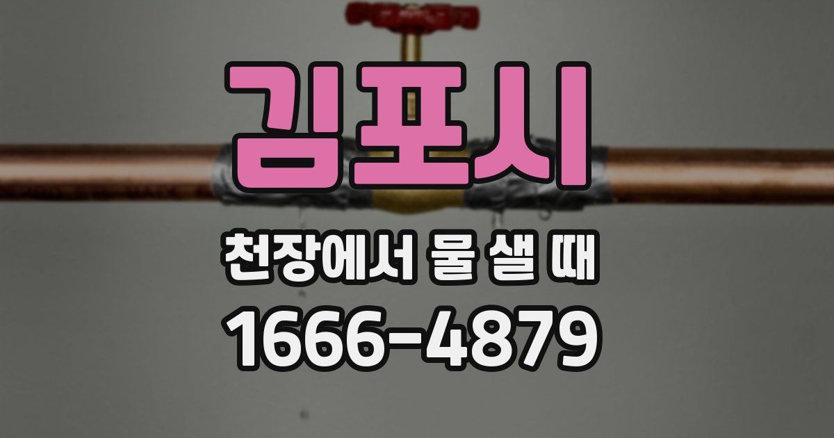 김포시 천장에서 물 샐 때