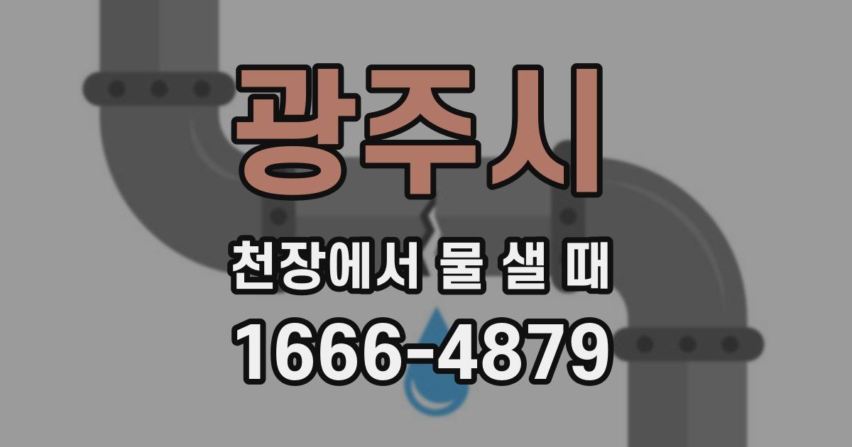 광주시 천장에서 물 샐 때