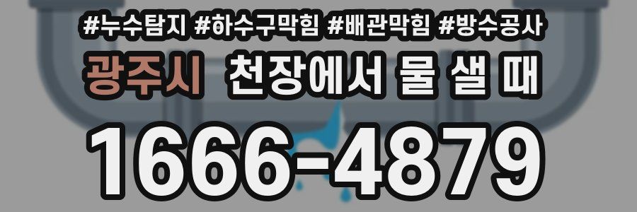 광주시 천장에서 물 샐 때
