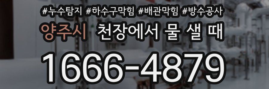 양주시 천장에서 물 샐 때