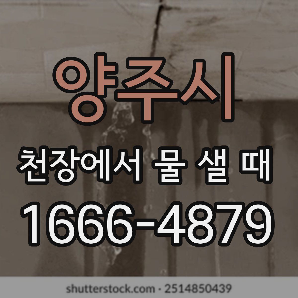 양주시 천장에서 물 샐 때