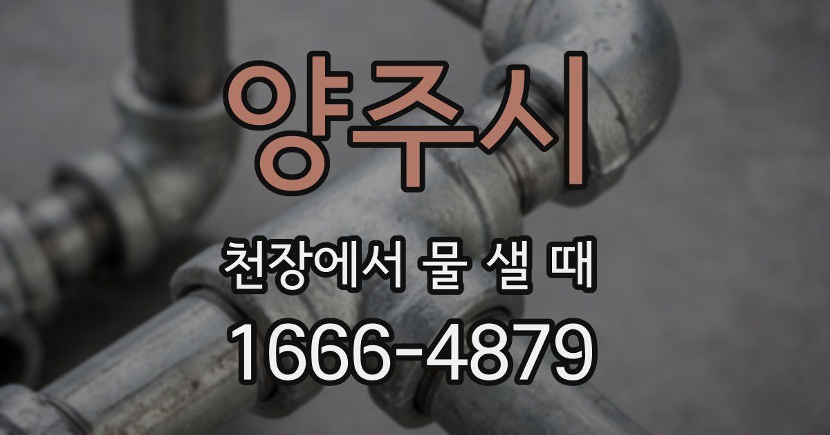 양주시 천장에서 물 샐 때