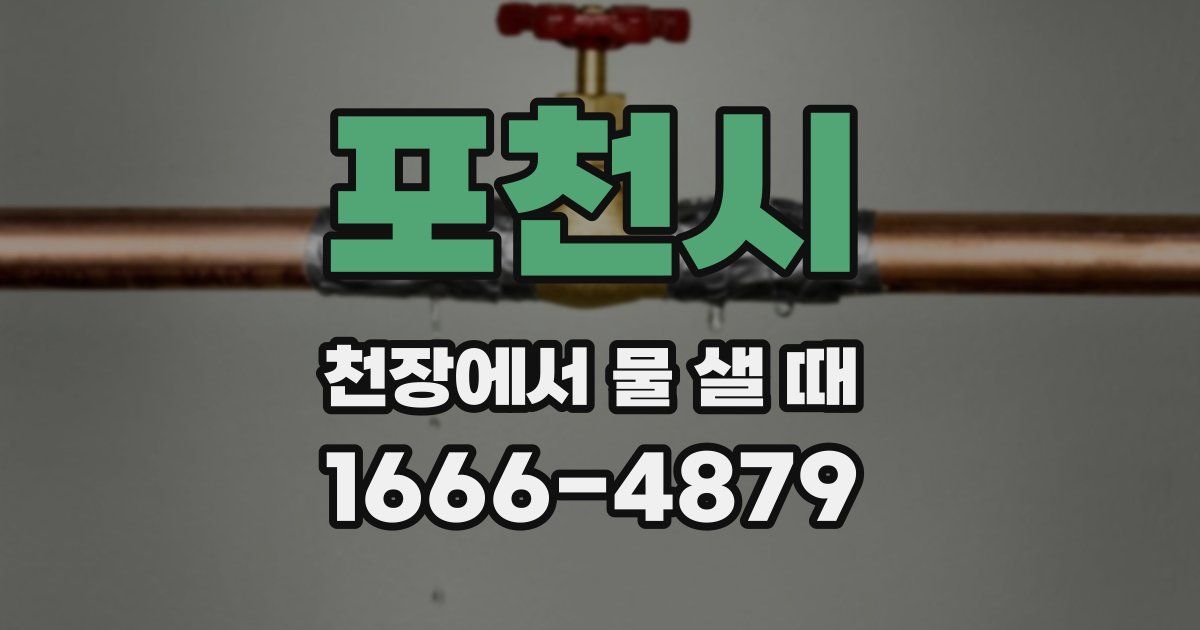 포천시 천장에서 물 샐 때