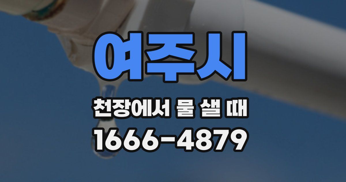 여주시 천장에서 물 샐 때