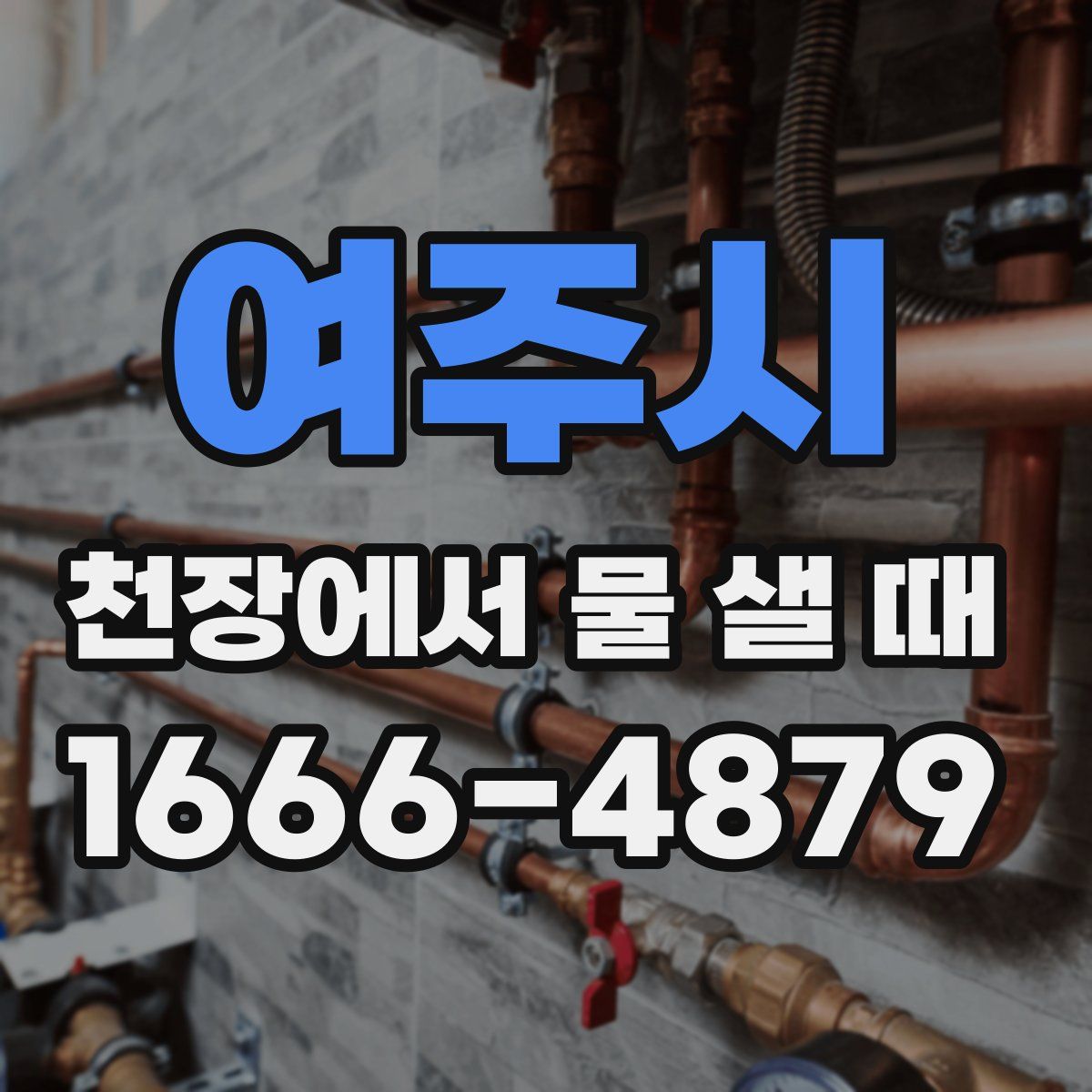 여주시 천장에서 물 샐 때