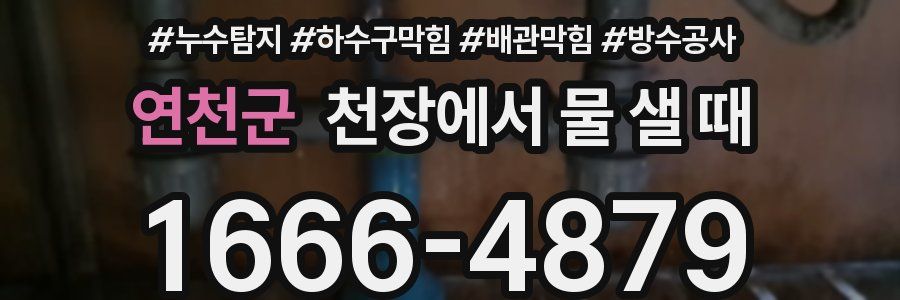 연천군 천장에서 물 샐 때