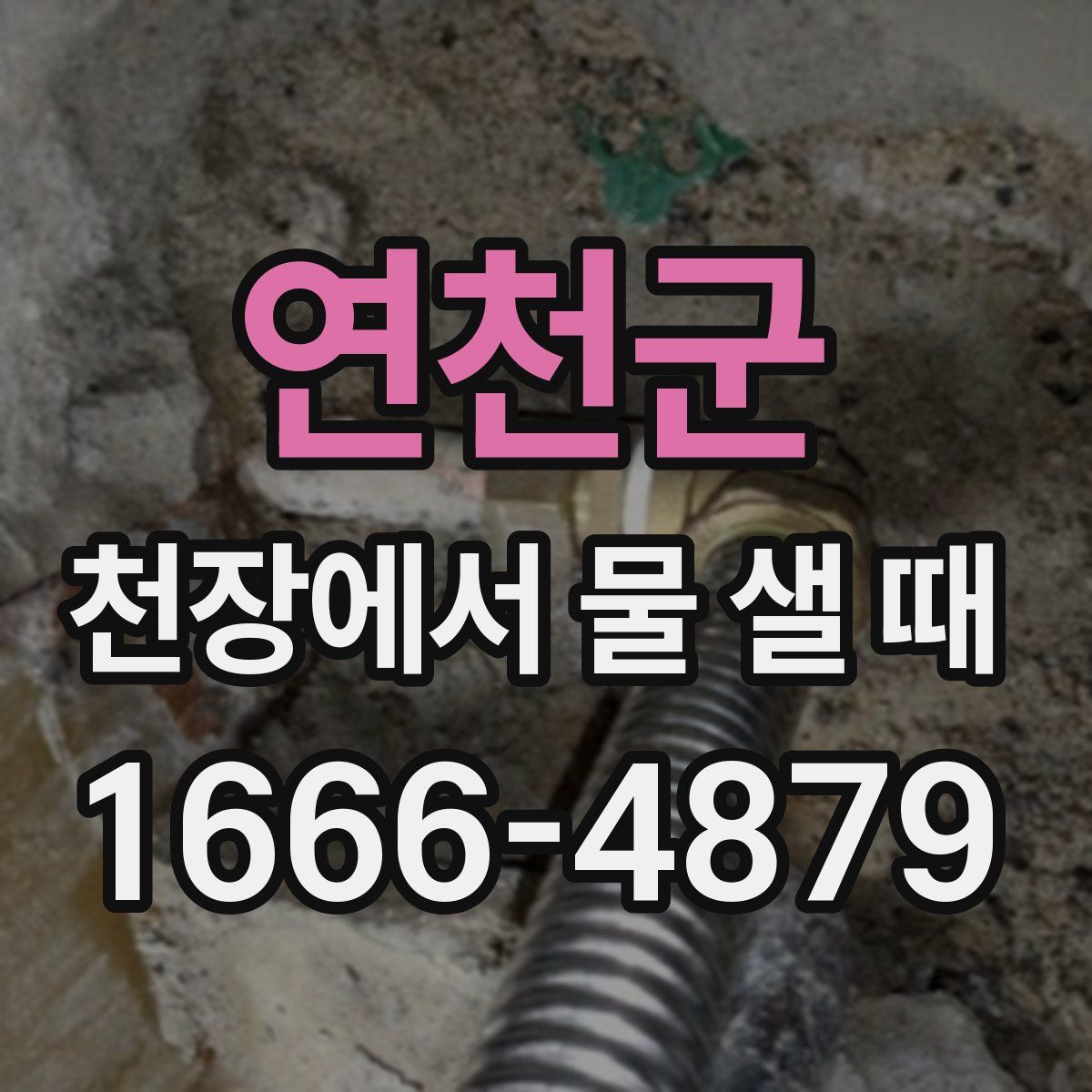 연천군 천장에서 물 샐 때