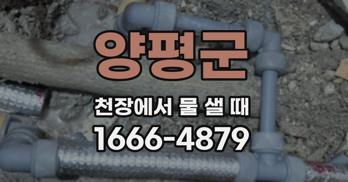 양평군 천장에서 물 샐 때