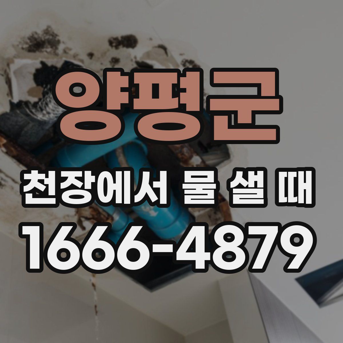 양평군 천장에서 물 샐 때