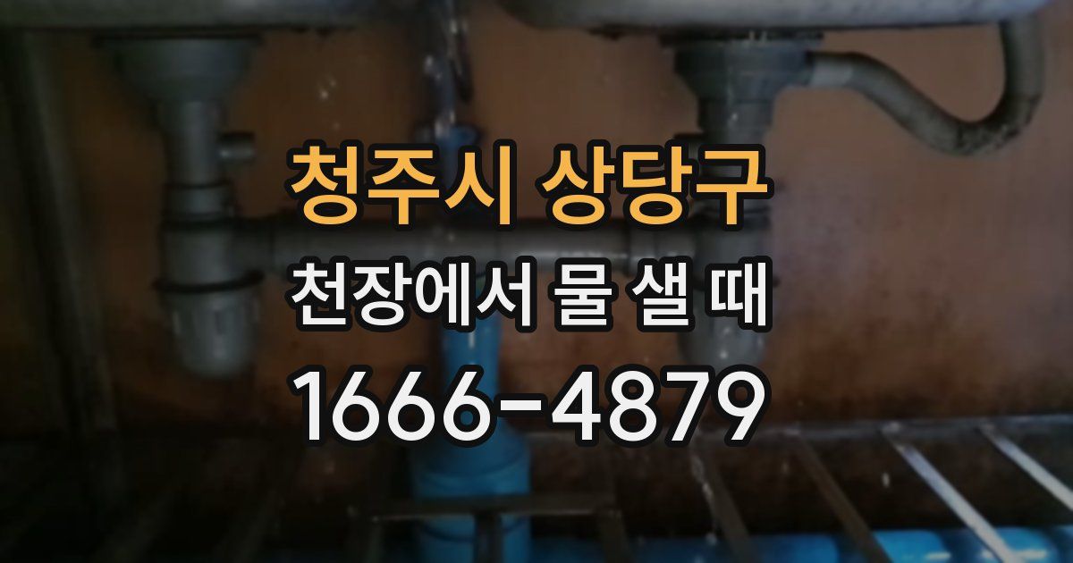 청주시 상당구 천장에서 물 샐 때