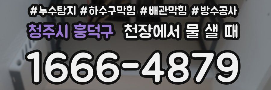 청주시 흥덕구 천장에서 물 샐 때