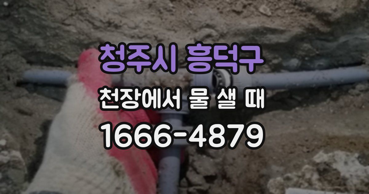 청주시 흥덕구 천장에서 물 샐 때