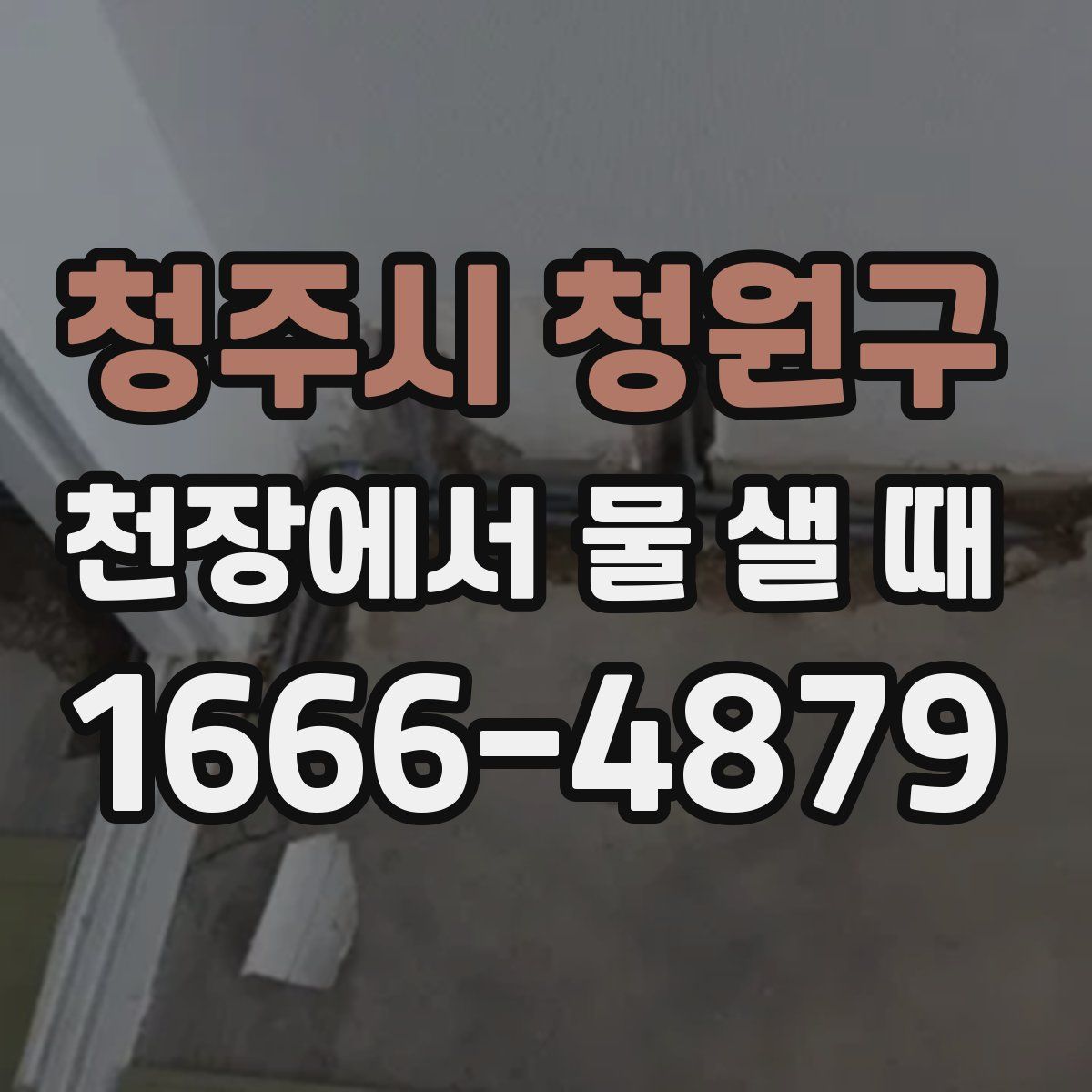 청주시 청원구 천장에서 물 샐 때