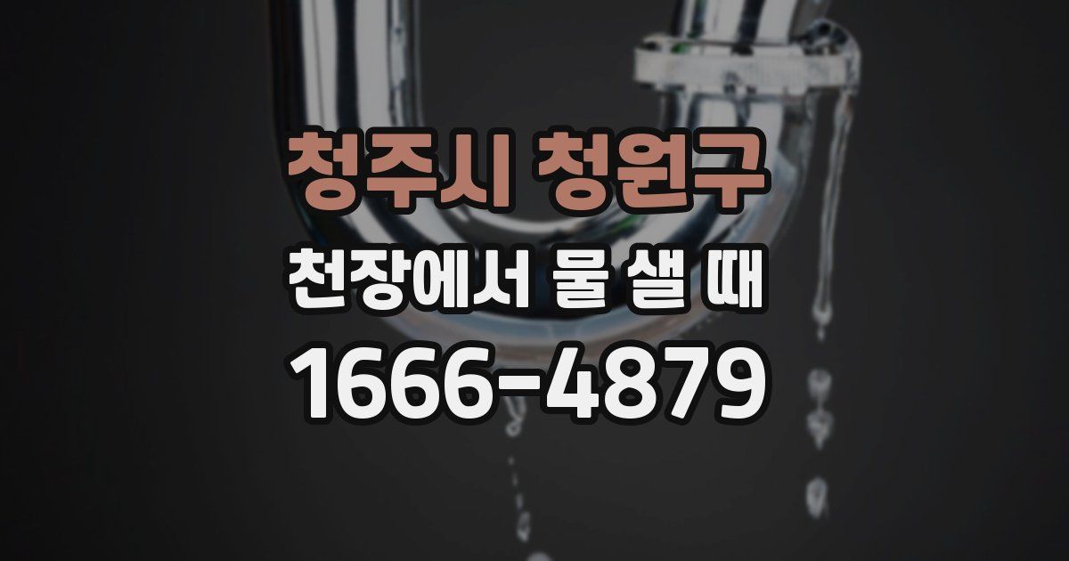 청주시 청원구 천장에서 물 샐 때