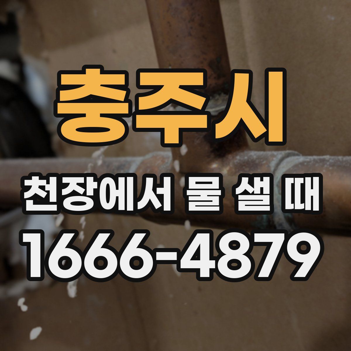 충주시 천장에서 물 샐 때