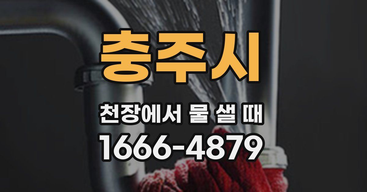 충주시 천장에서 물 샐 때