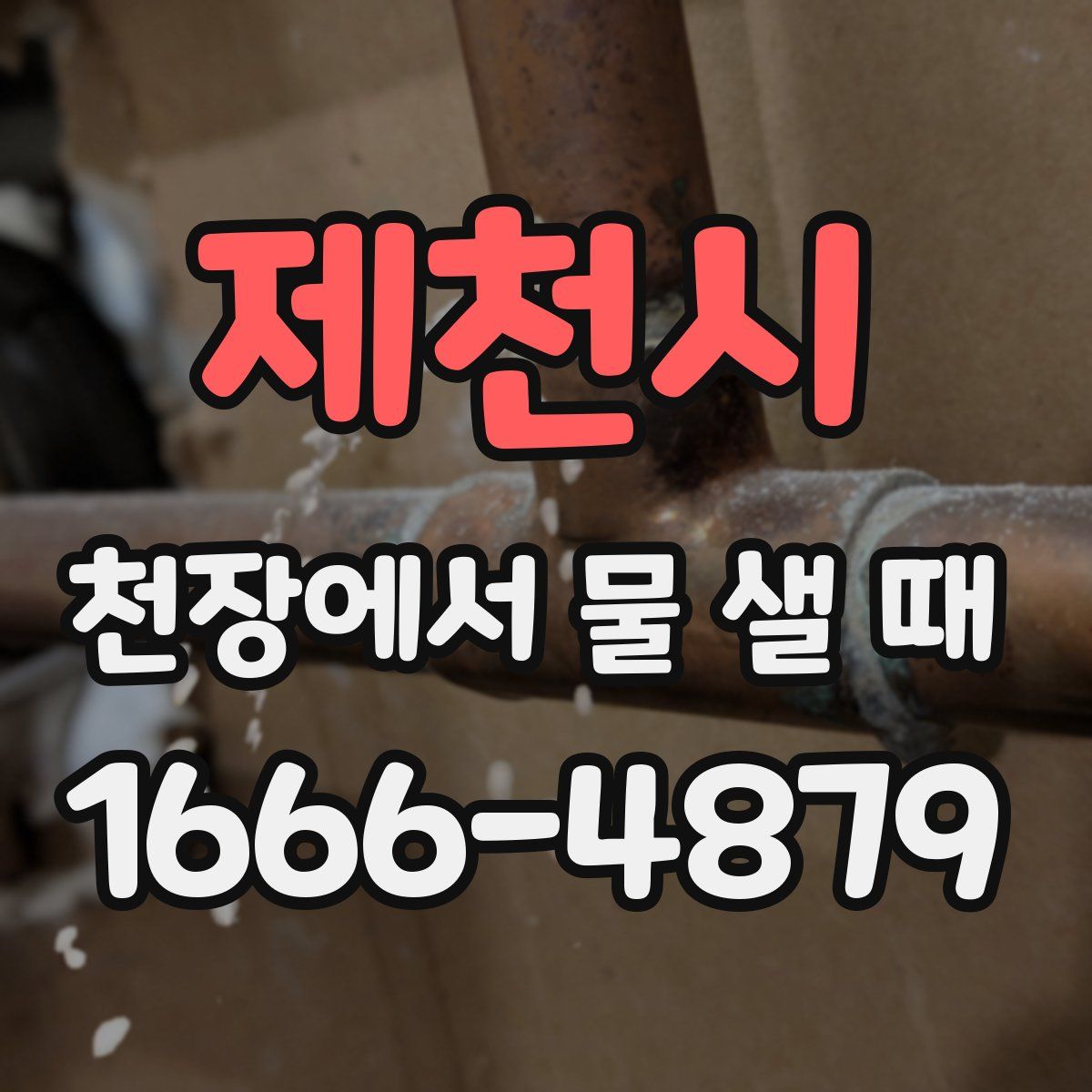 제천시 천장에서 물 샐 때